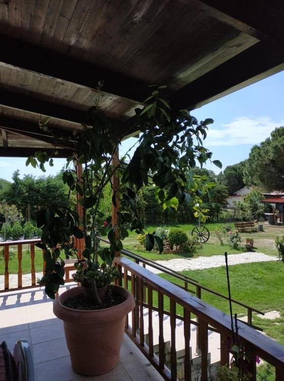 Вилла Ivonnis Garden Mesimvria  Экстерьер фото
