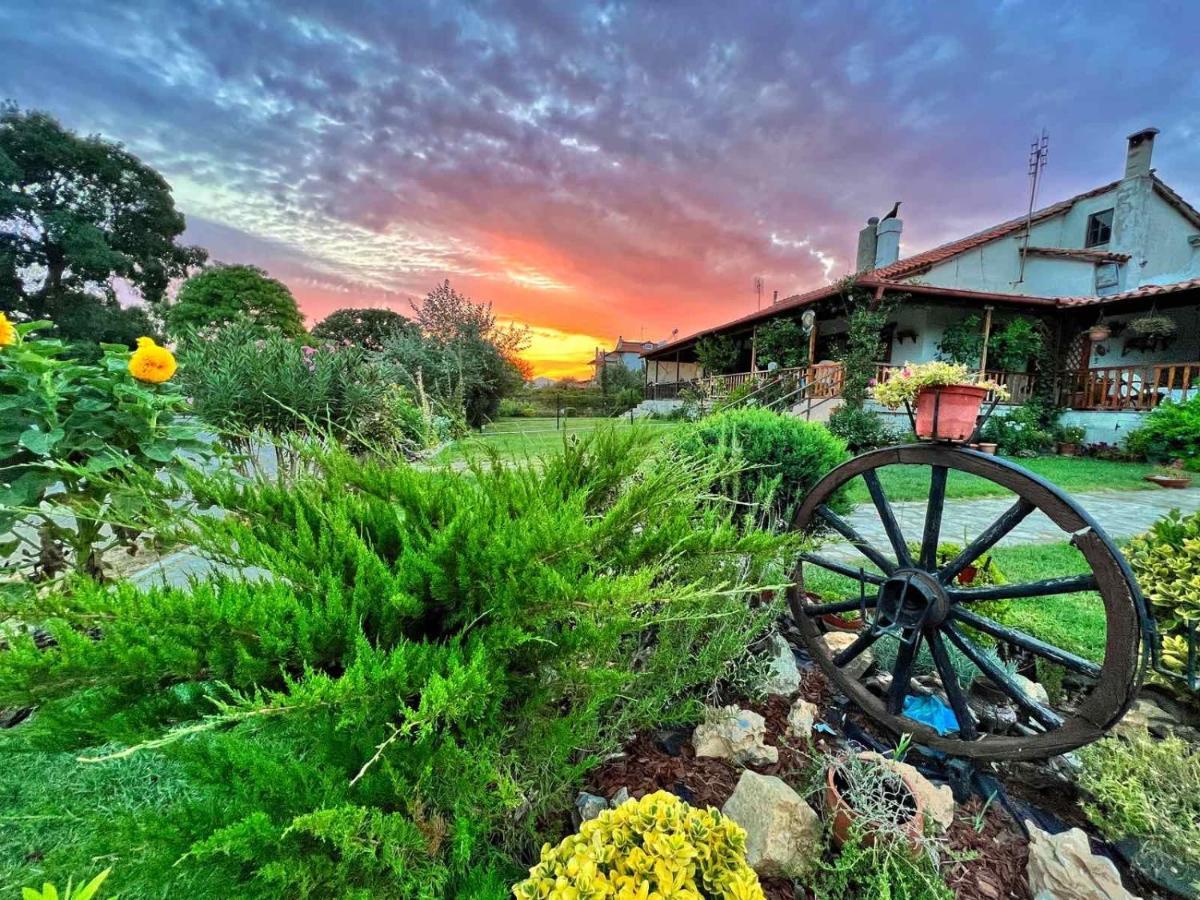 Вилла Ivonnis Garden Mesimvria  Экстерьер фото