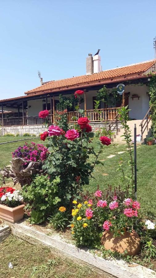 Вилла Ivonnis Garden Mesimvria  Экстерьер фото