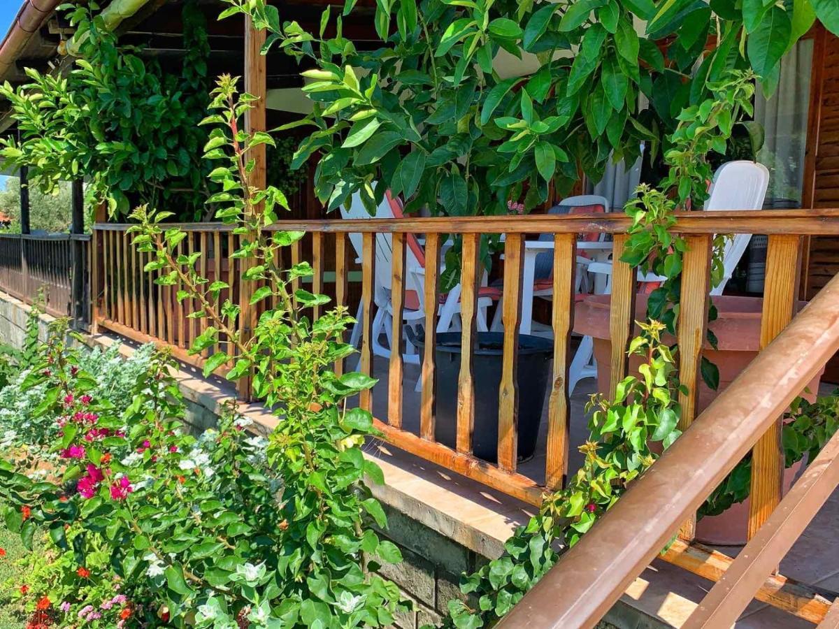 Вилла Ivonnis Garden Mesimvria  Экстерьер фото