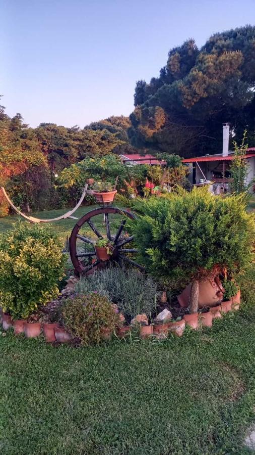 Вилла Ivonnis Garden Mesimvria  Экстерьер фото