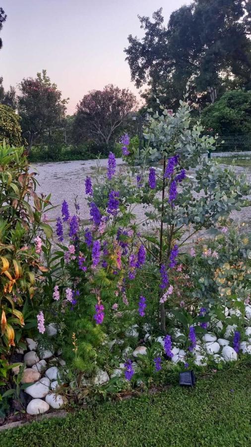 Вилла Ivonnis Garden Mesimvria  Экстерьер фото